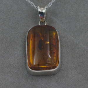 Copyright Nolan Milojevich