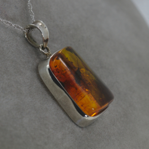 Copyright Nolan Milojevich