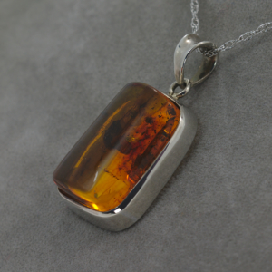 Copyright Nolan Milojevich